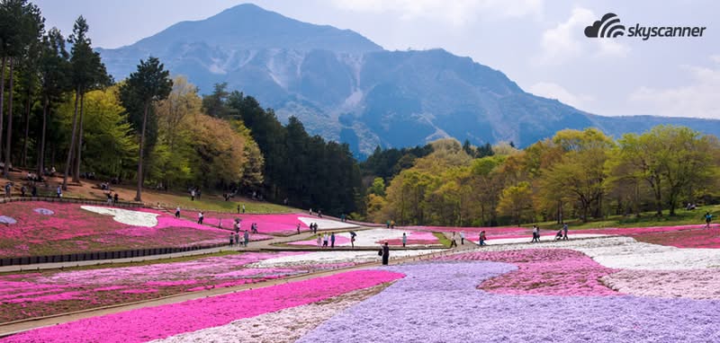 Kamiyubetsu Tulip Park, Ohotsuku, Japan