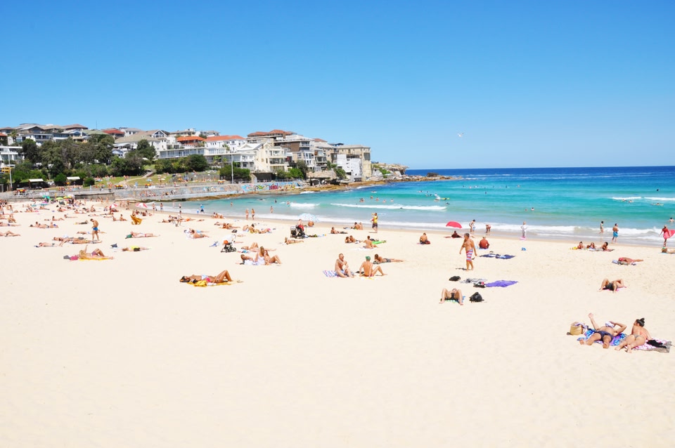 Holidays to Sydney in 2021 Flights and Hotels for Sydney Skyscanner