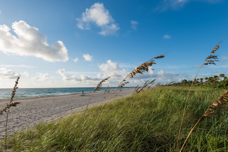 Delray Beach, Palm Beach Delray Beach in Palm Beach, one of Florida's most popular beach destinations