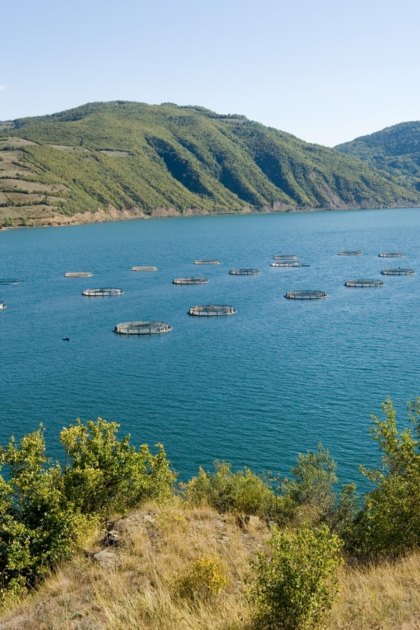 Die schönsten Städte der Türkei: Samsun