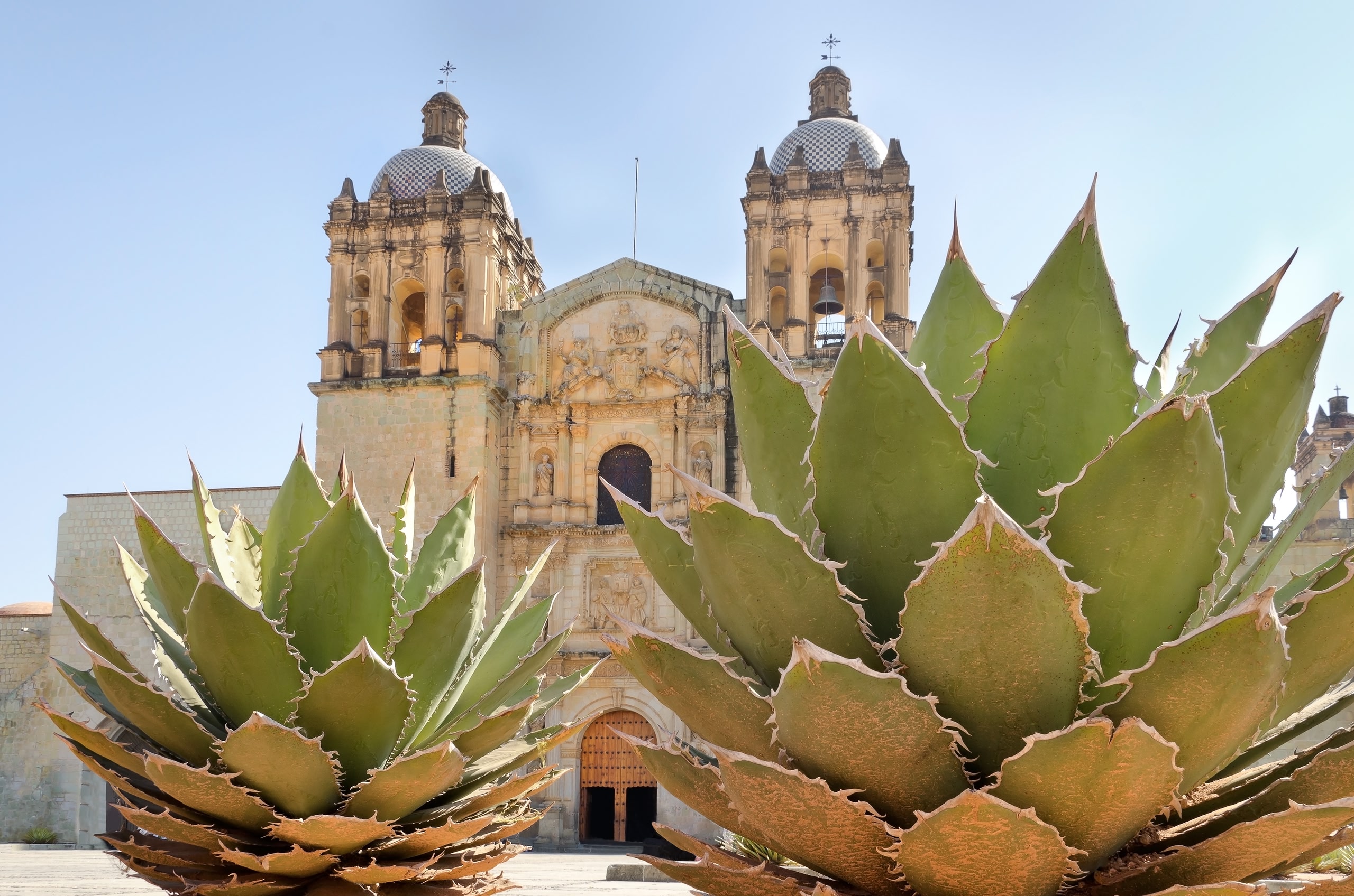 Kakteen vor dem Templo de Santo Domingo de Guzmán