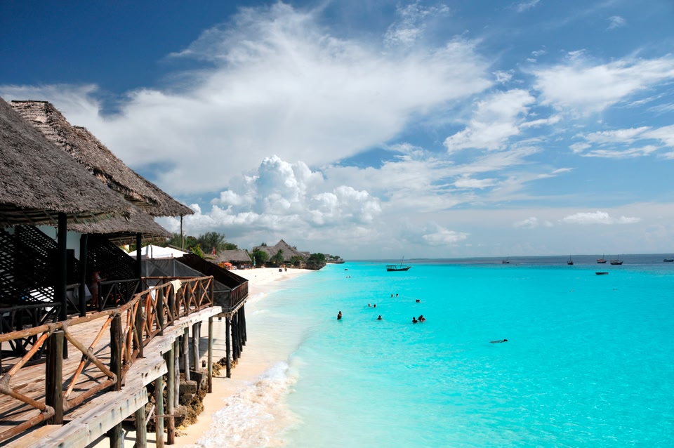 Zanzibar Tanzanya Safari