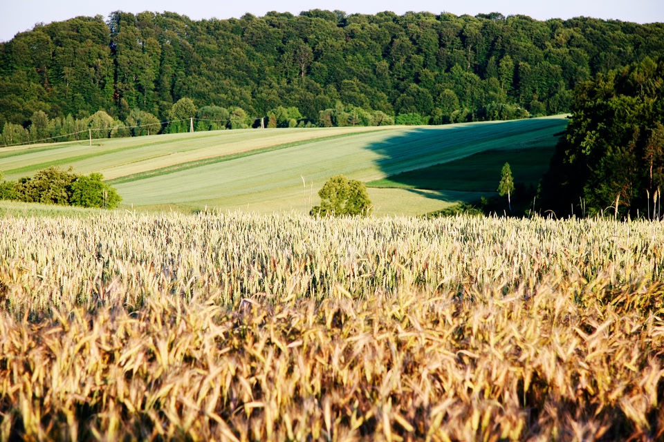 Jesień w Polsce w pełnej krasie: Roztocze