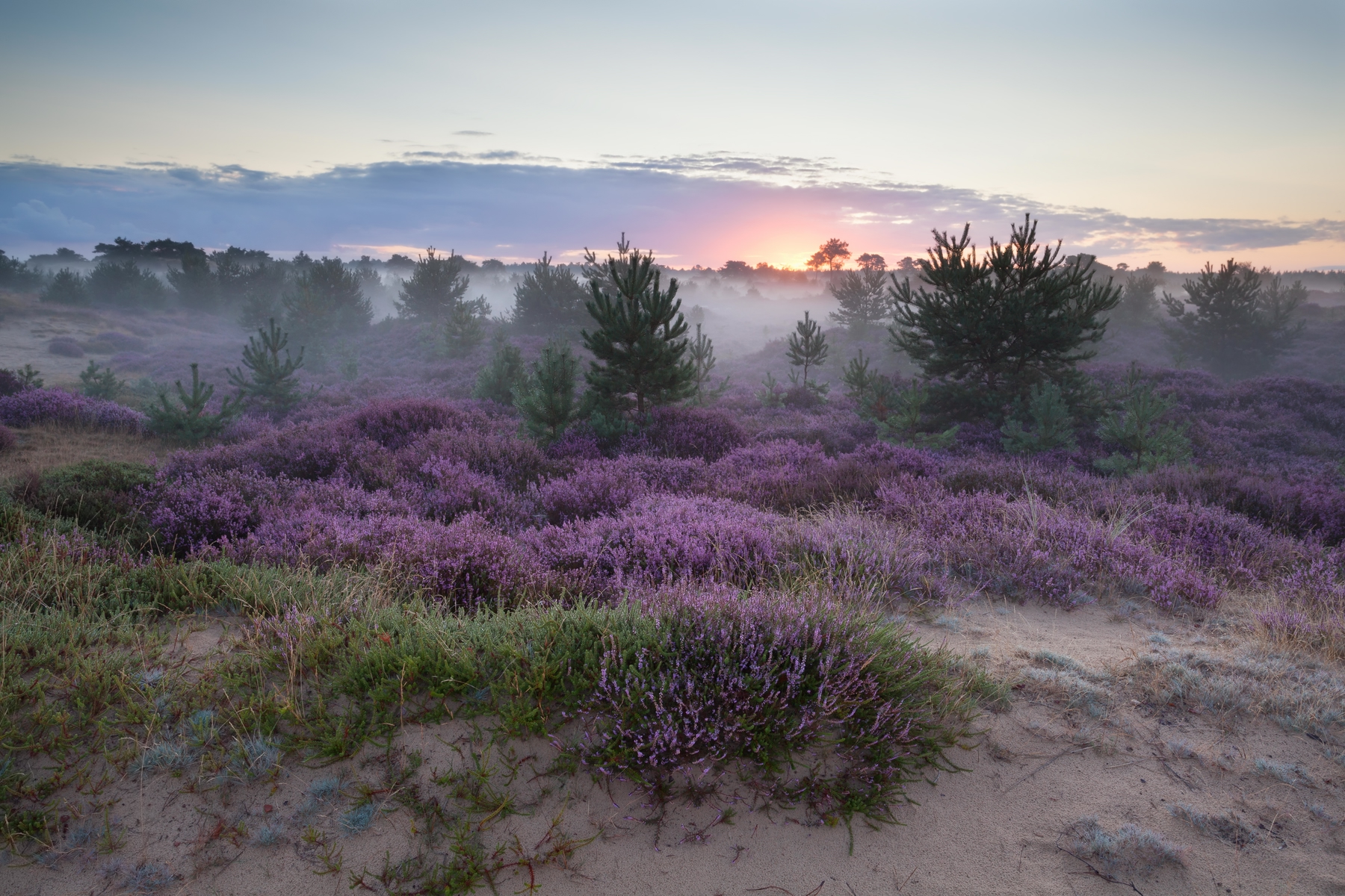 Weg met Pasen: Sallandse Heuvelrug