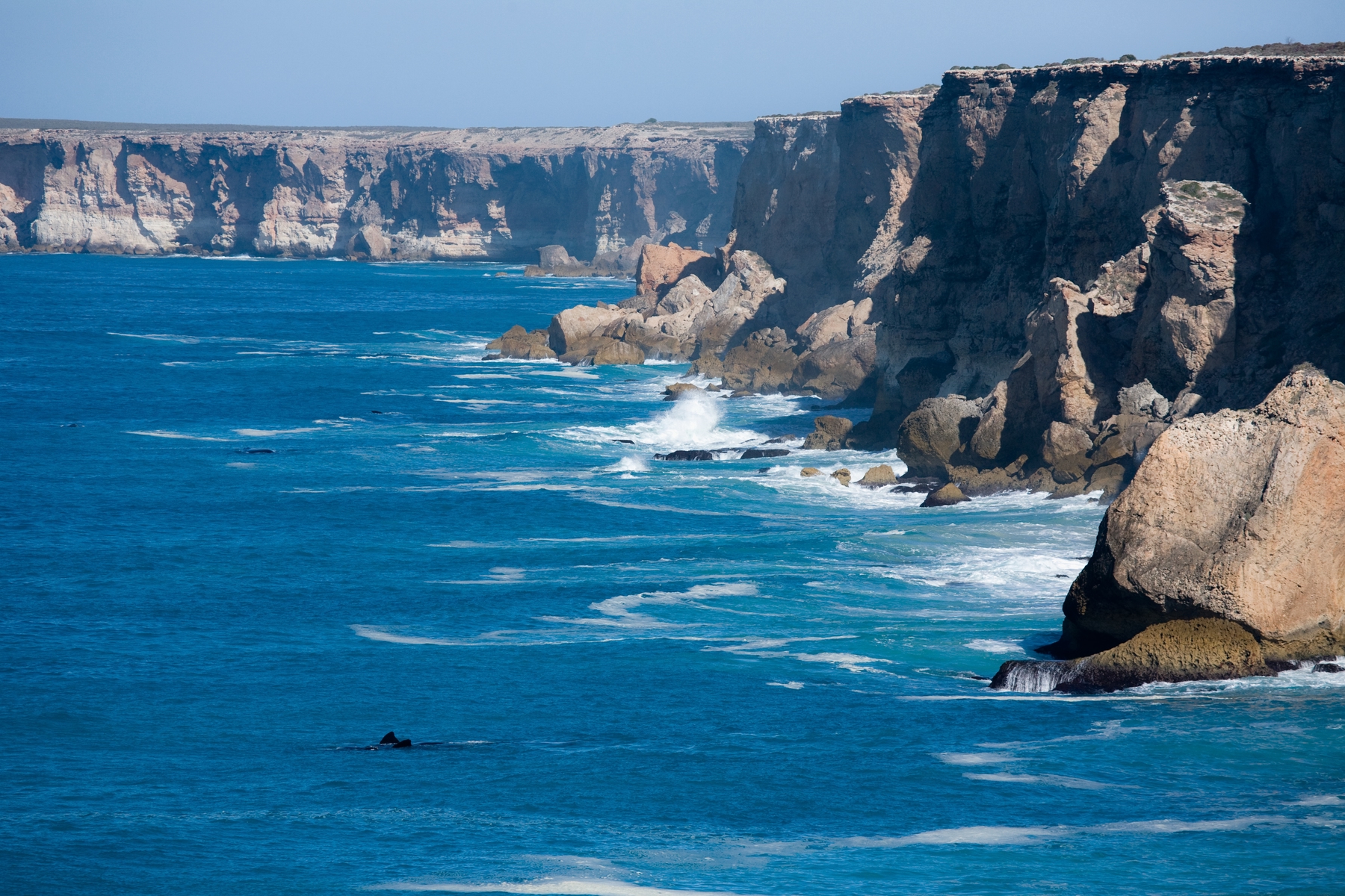 Nullarbor Plain cliffs