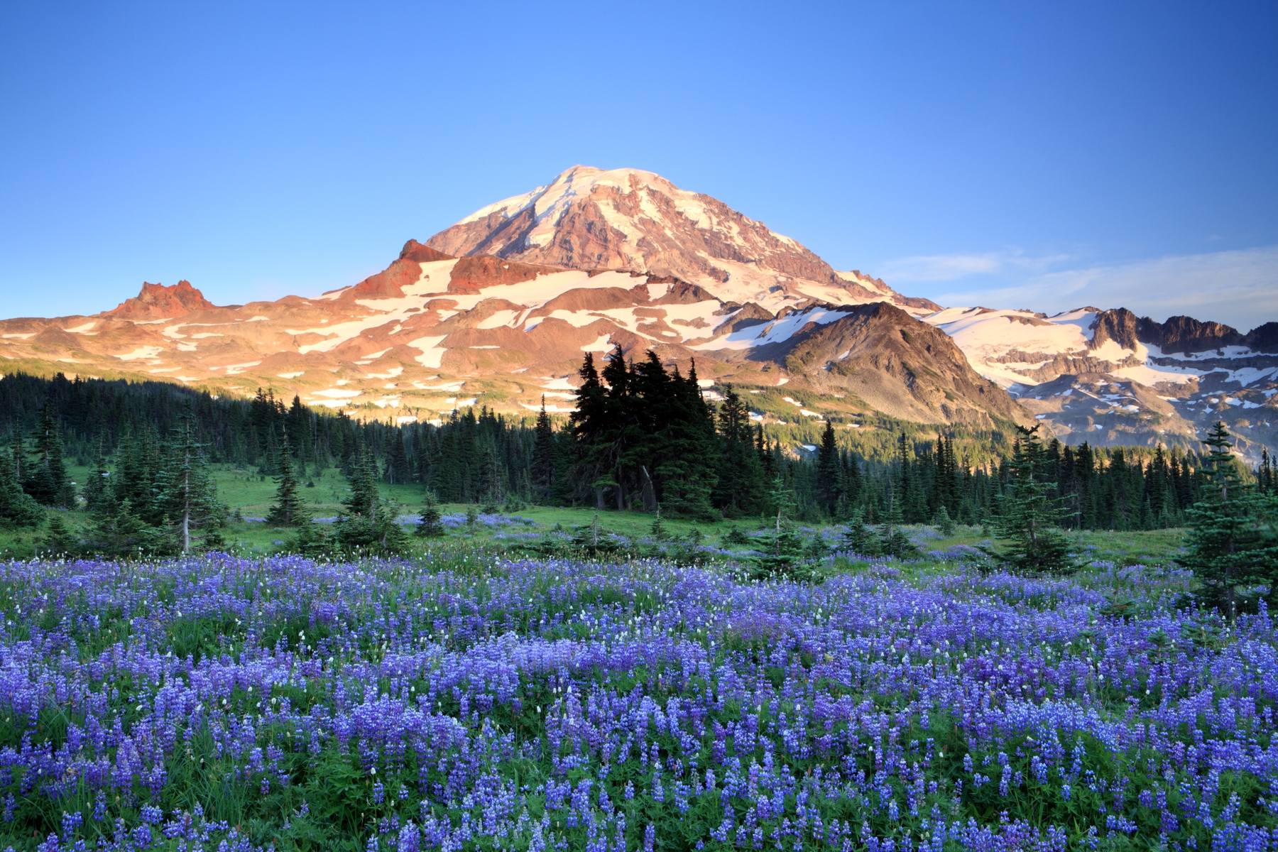 Mt. Rainier in Washington State
