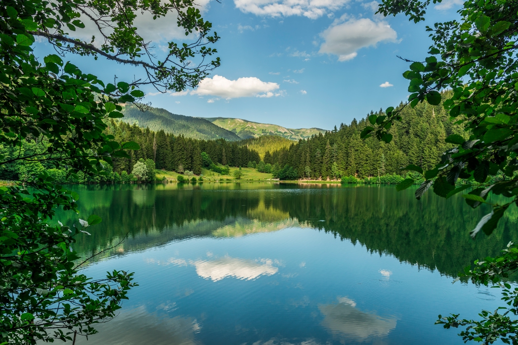 Karagöl, Artvin - yerli bir Kurban Bayramı tatili