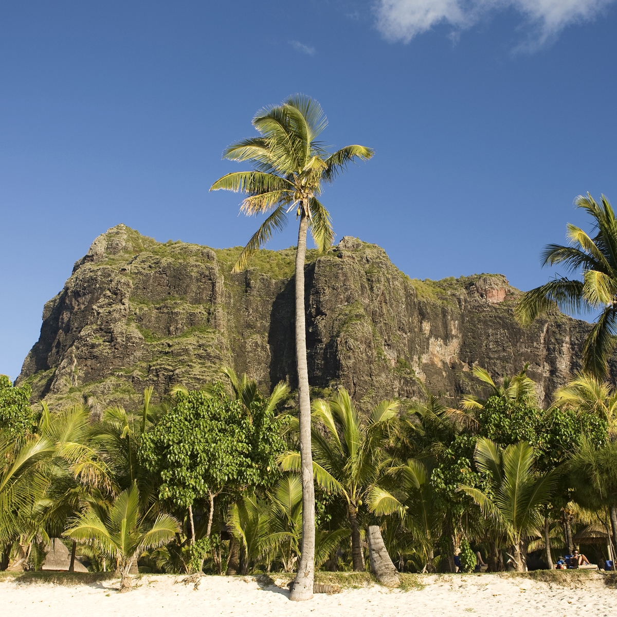 Die schönsten Reiseziele Afrikas: Mauritius