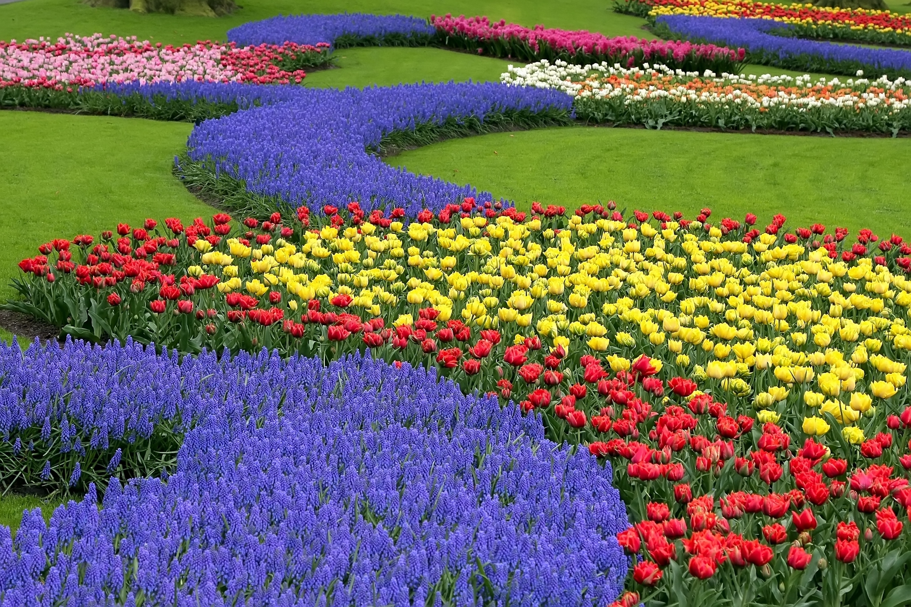 Keukenhof, Países Bajos, viajar en marzo