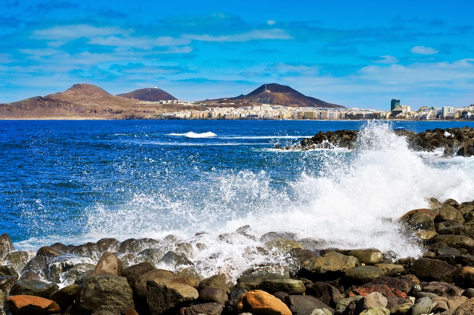 Живописные леса острова Пальма