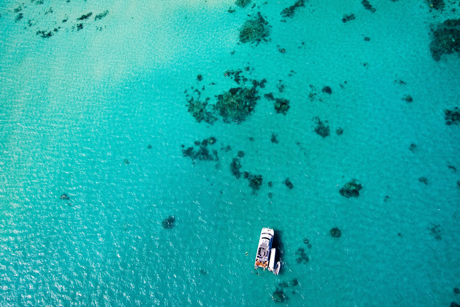 Visit Cairns in summer for the GBR