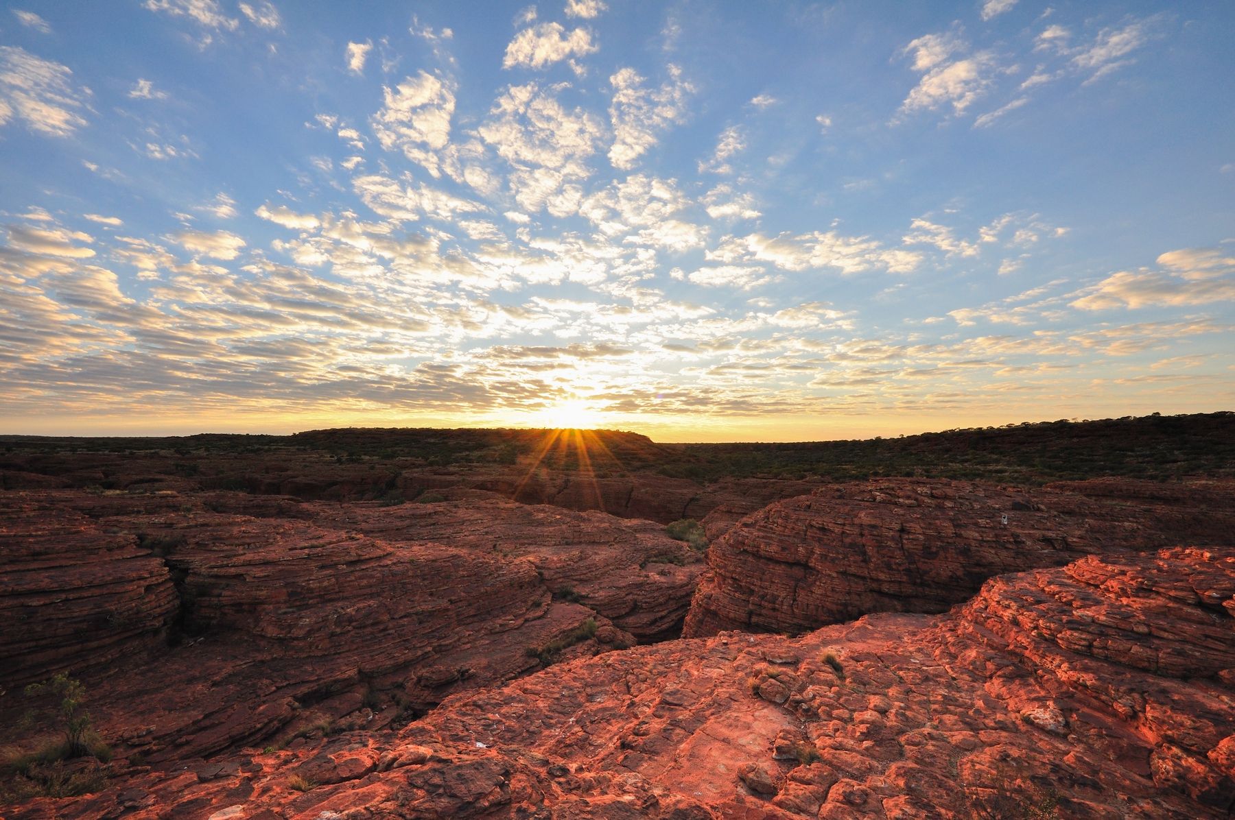 Sun setting over the Australian outback