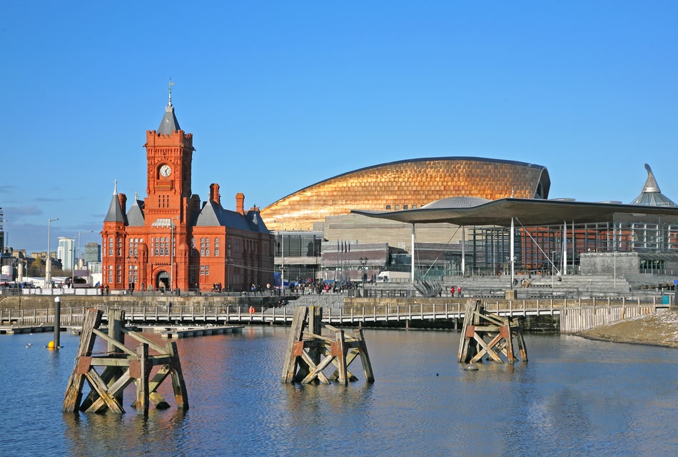 cardiff peynir festivali
