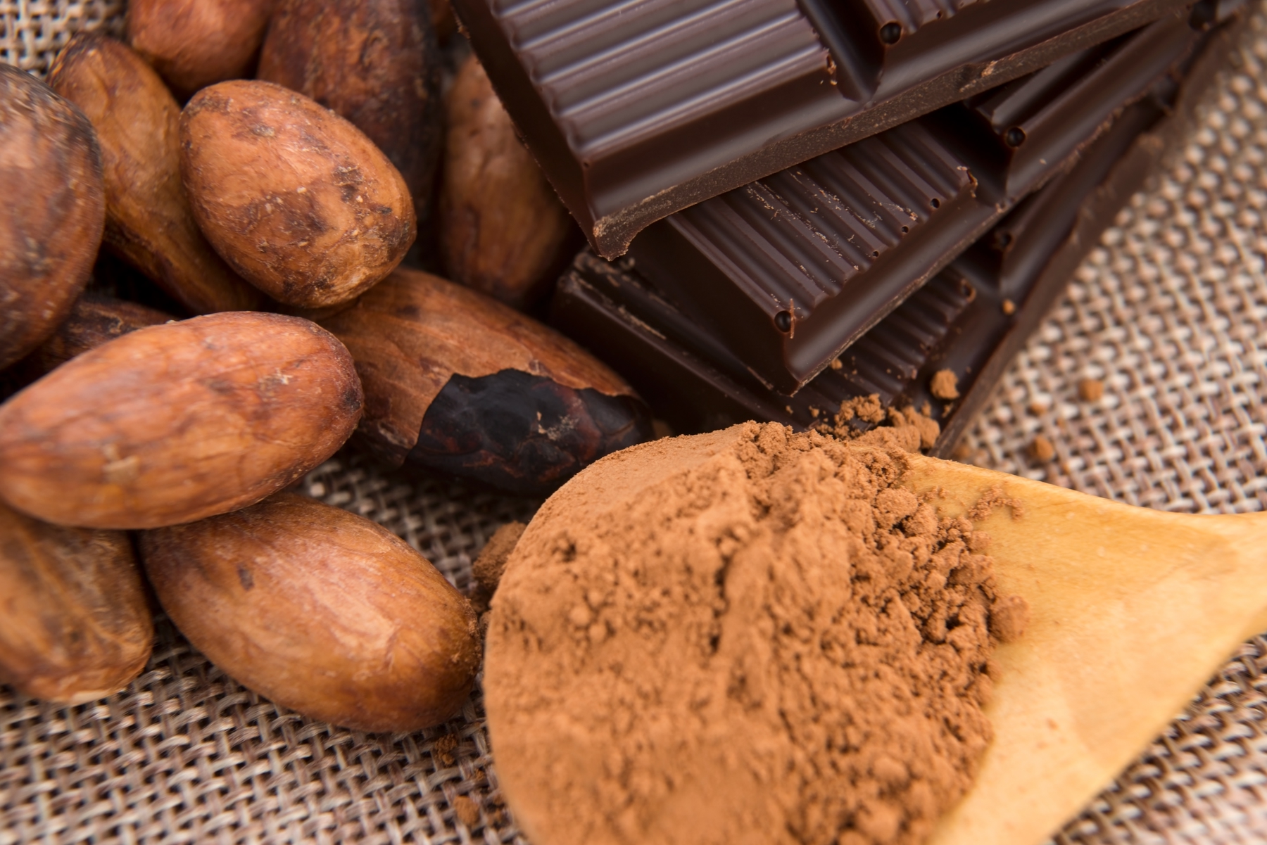 Displayed chocolate and almonds, part of the chocolate making process