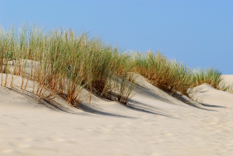 Playa de La Tremblade, Côte Sauvage