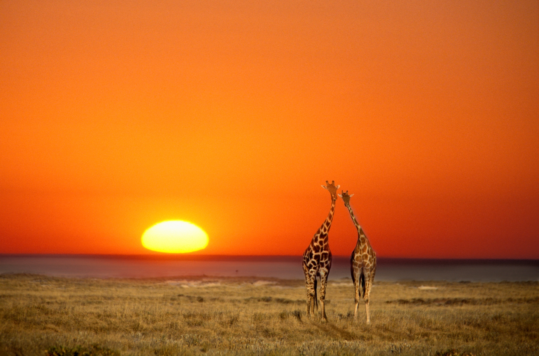 Zonvakantie in januari - Kaapstad Zuid-Afrika