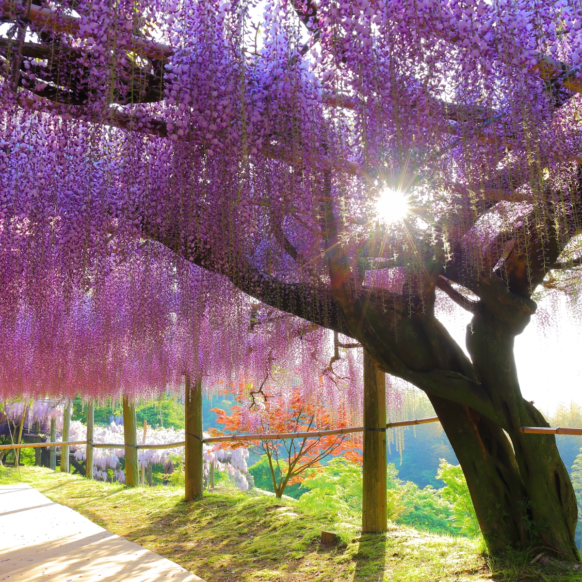 Die schönsten Städte Japans: Fukuoka, Kyushu