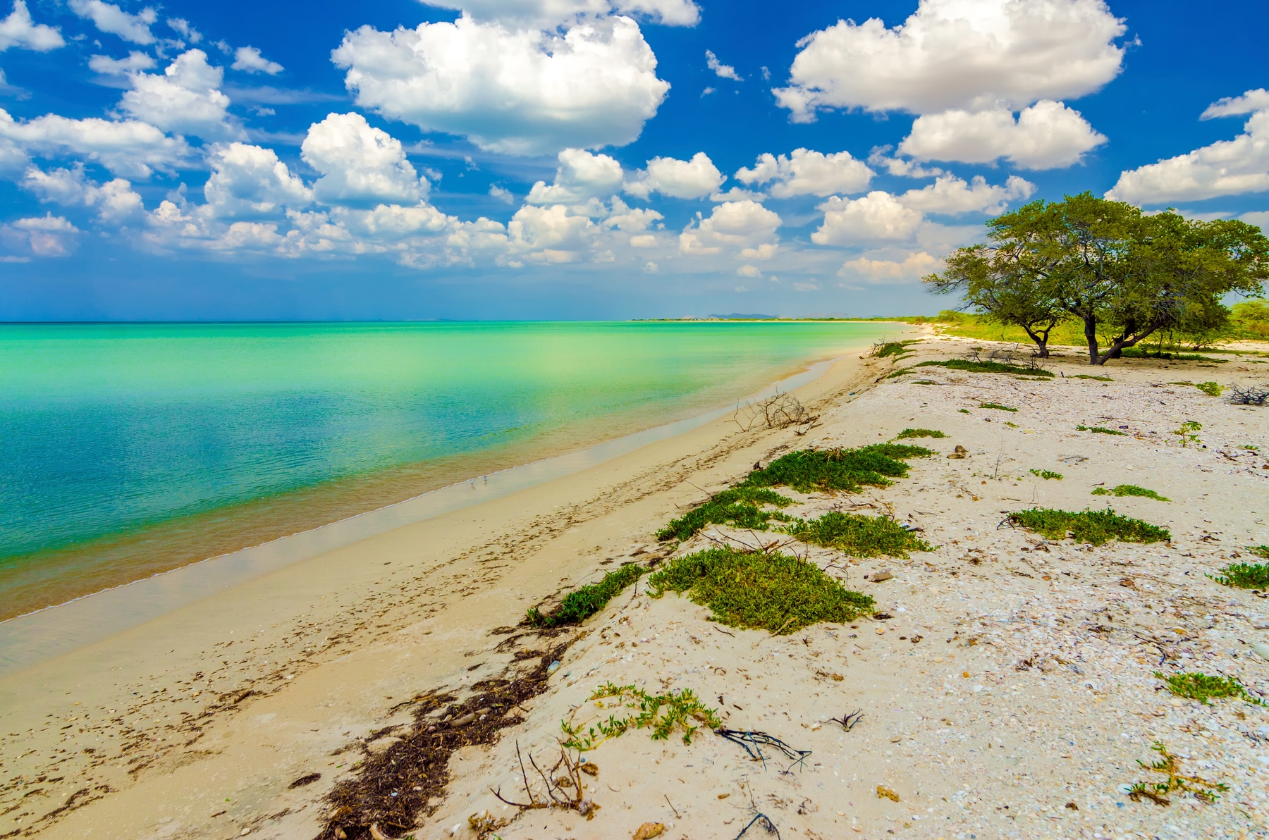 Vacaciones baratas: 17 destinos económicos: Cabo de la Vela