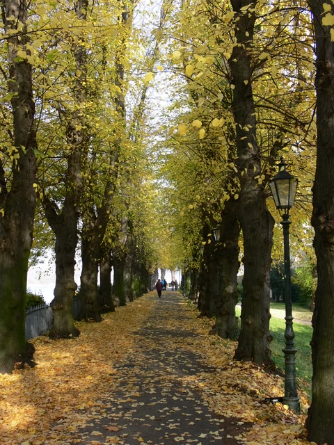 Kaiserswerth, places to visit in Düsseldorf