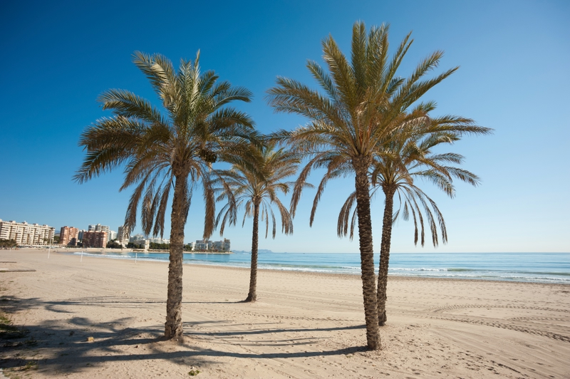 Playa de Postiguet Alicante