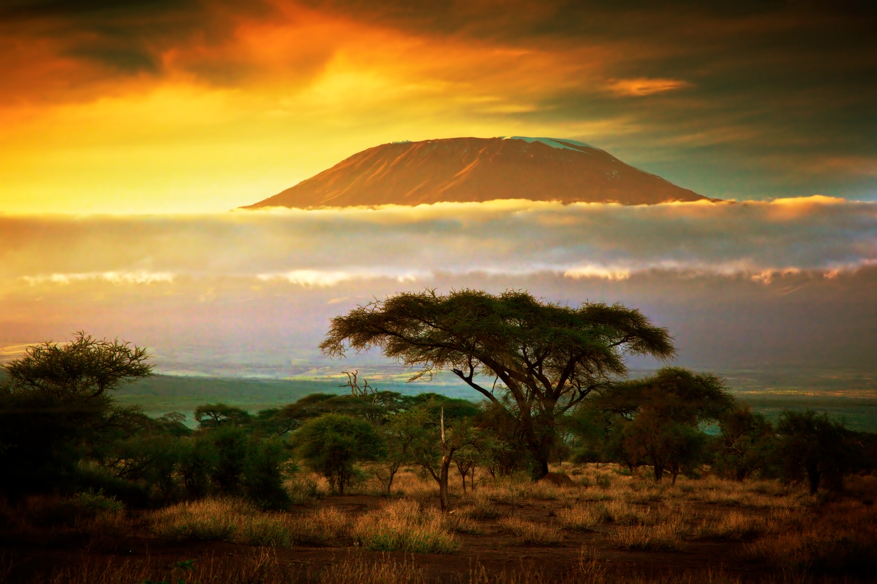 Erholung im Amboseli Nationalpark, Kenia