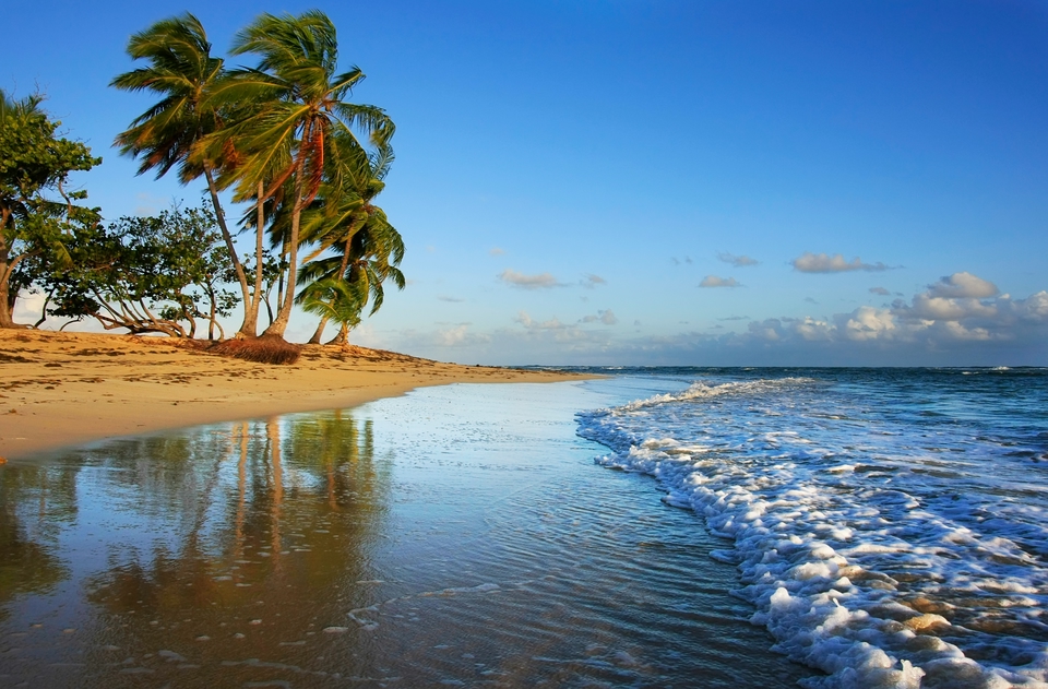 Palm trees and waves by a beach in St. Maarten, Caribbean