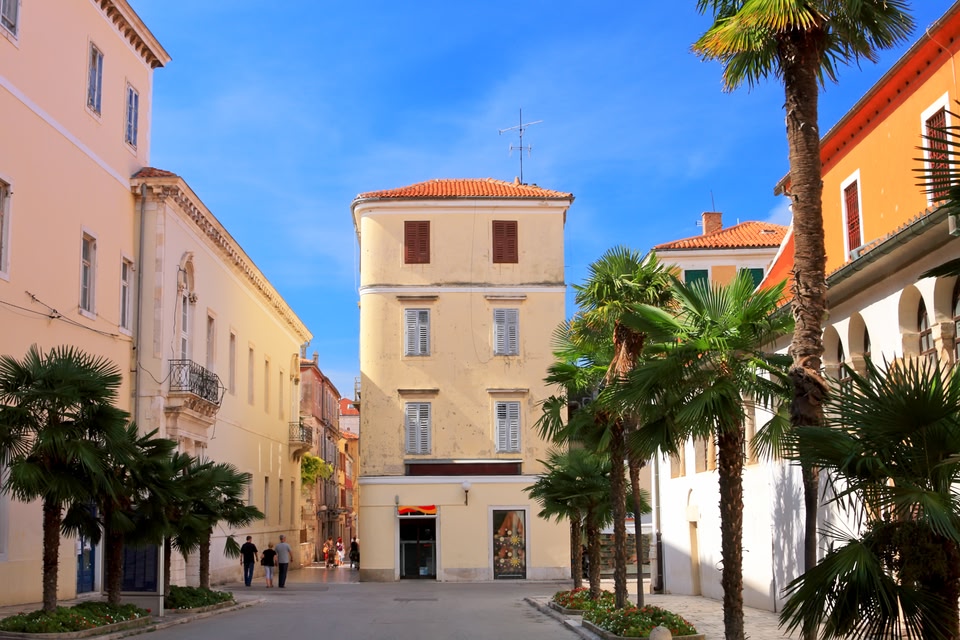 Buildings and palm trees in Zadar, Croatia.