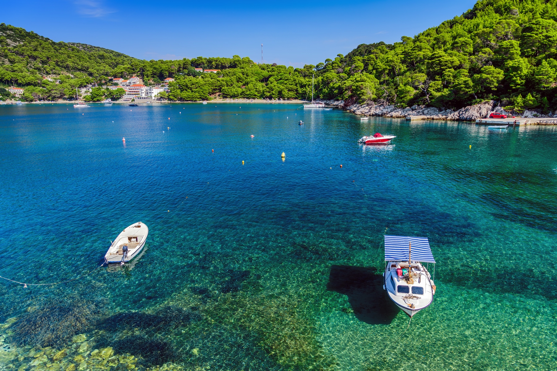 Mljet