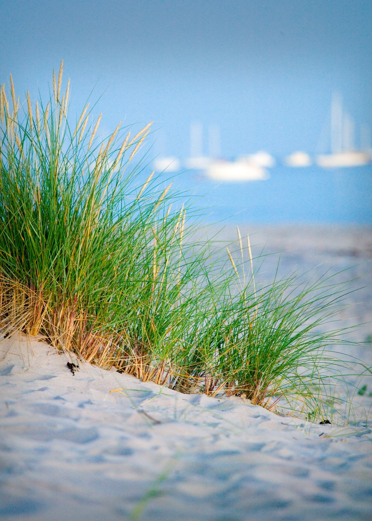 Polnische Ostseeküste - Dünen