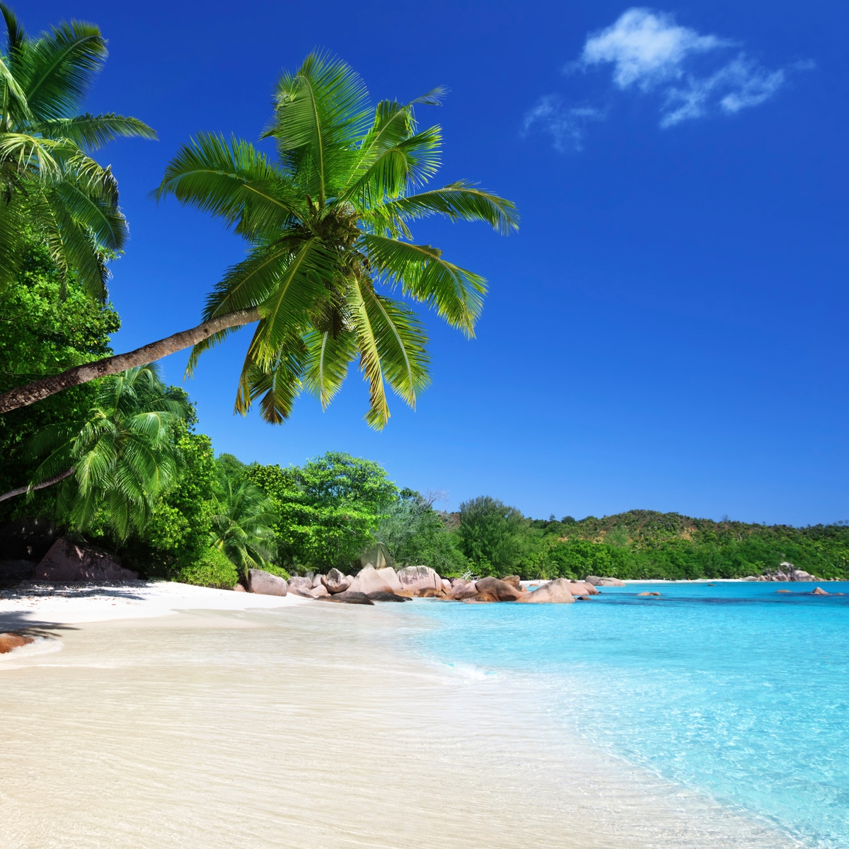 Die schönsten Reiseziele Afrikas: Seychellen