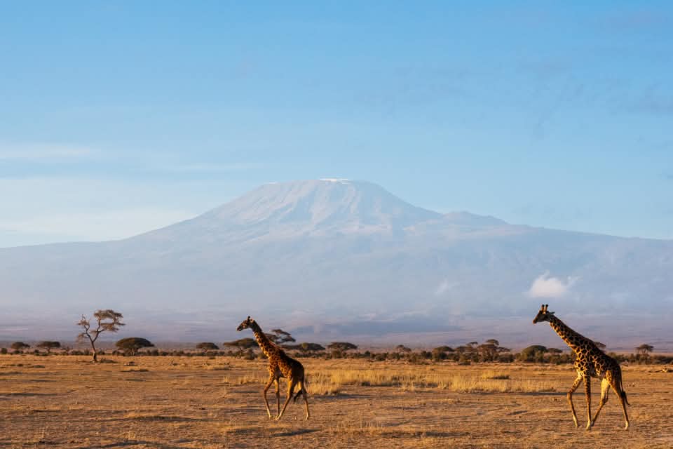 Sewa mobil di Kilimanjaro