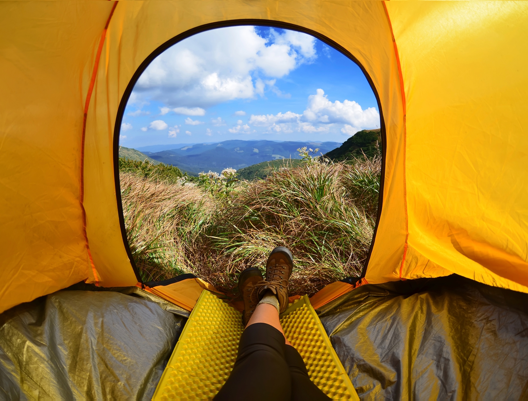 a person camping and looking outside their tent to the mountains for a canadian vacation