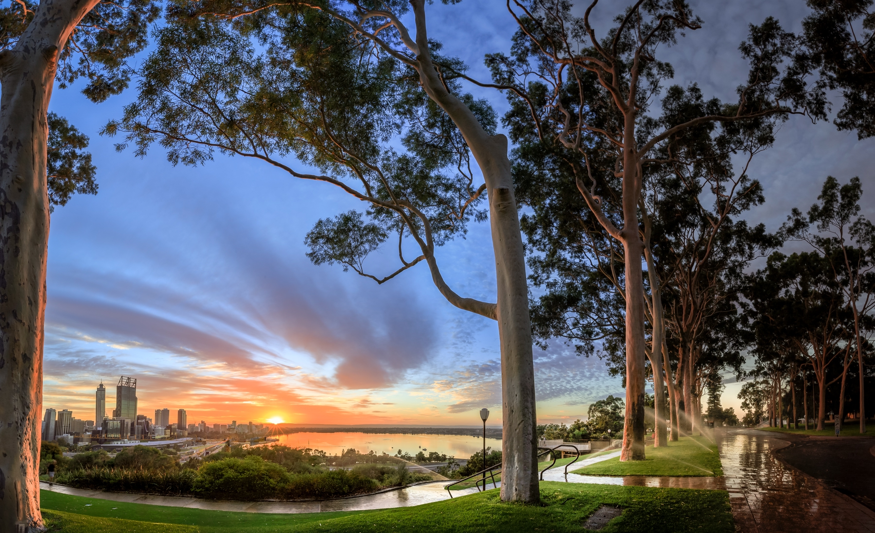 Kings Park, Perth