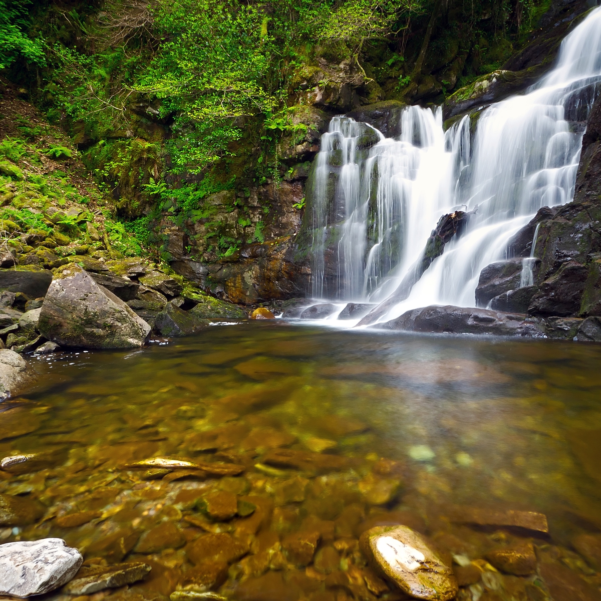 Die schönsten Sehenswürdigkeiten Irlands: Killarney Nationalpark, bei Killarney, County Kerry
