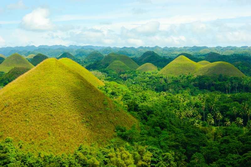 Chocolate Hills