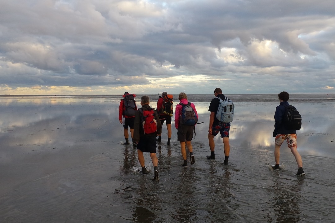 Activiteiten in Nederland: wadlopen