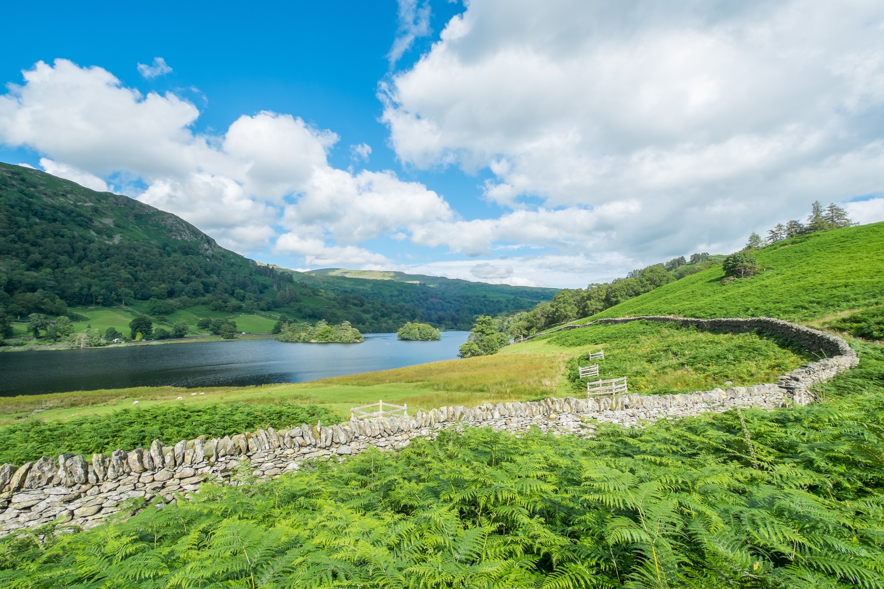 Tranquil countryside scenery in the Lake District, with rolling hills and a peaceful lake in the background and a stone wall separating a lush green field in the foreground.