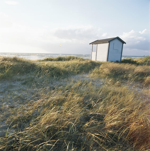 Hut in Falsterbo beach, Sweden