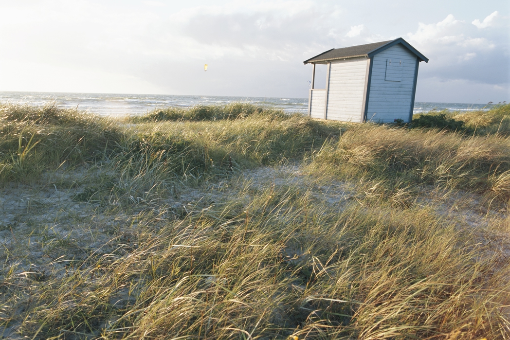 Hut in Falsterbo beach, Sweden