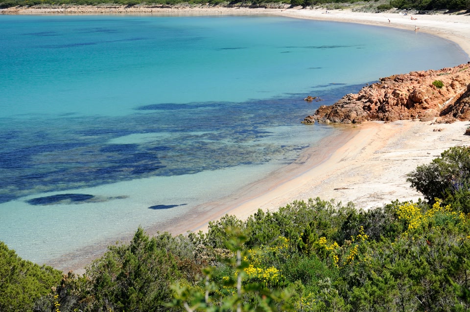 Hot in June: Olbia, Sardina. Image shows an empty white bay lapped by turquoise waters and fringed by green and yellow foliage.