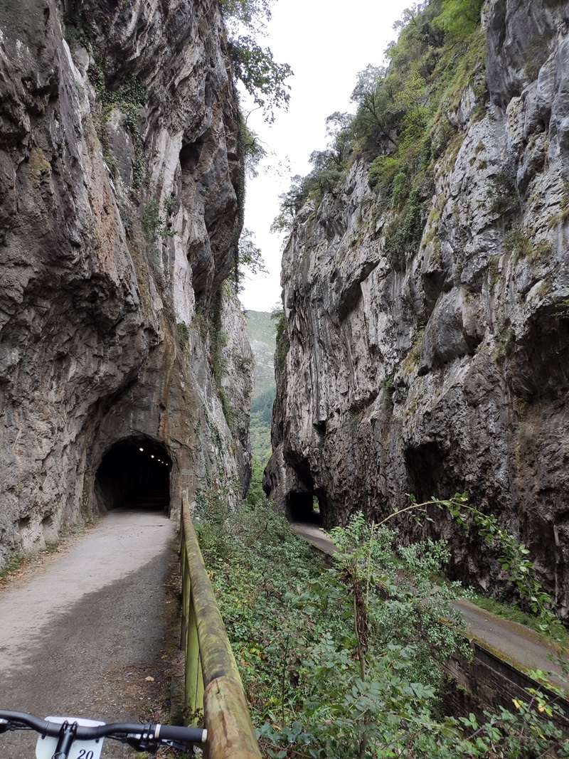 Senda del Oso Asturias