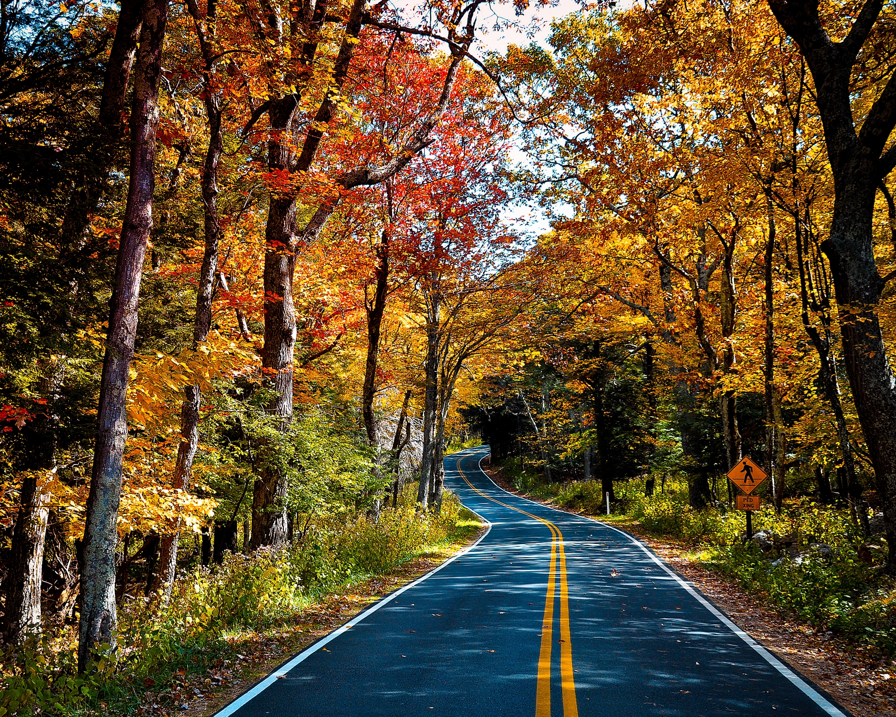 Shenandoah National Park