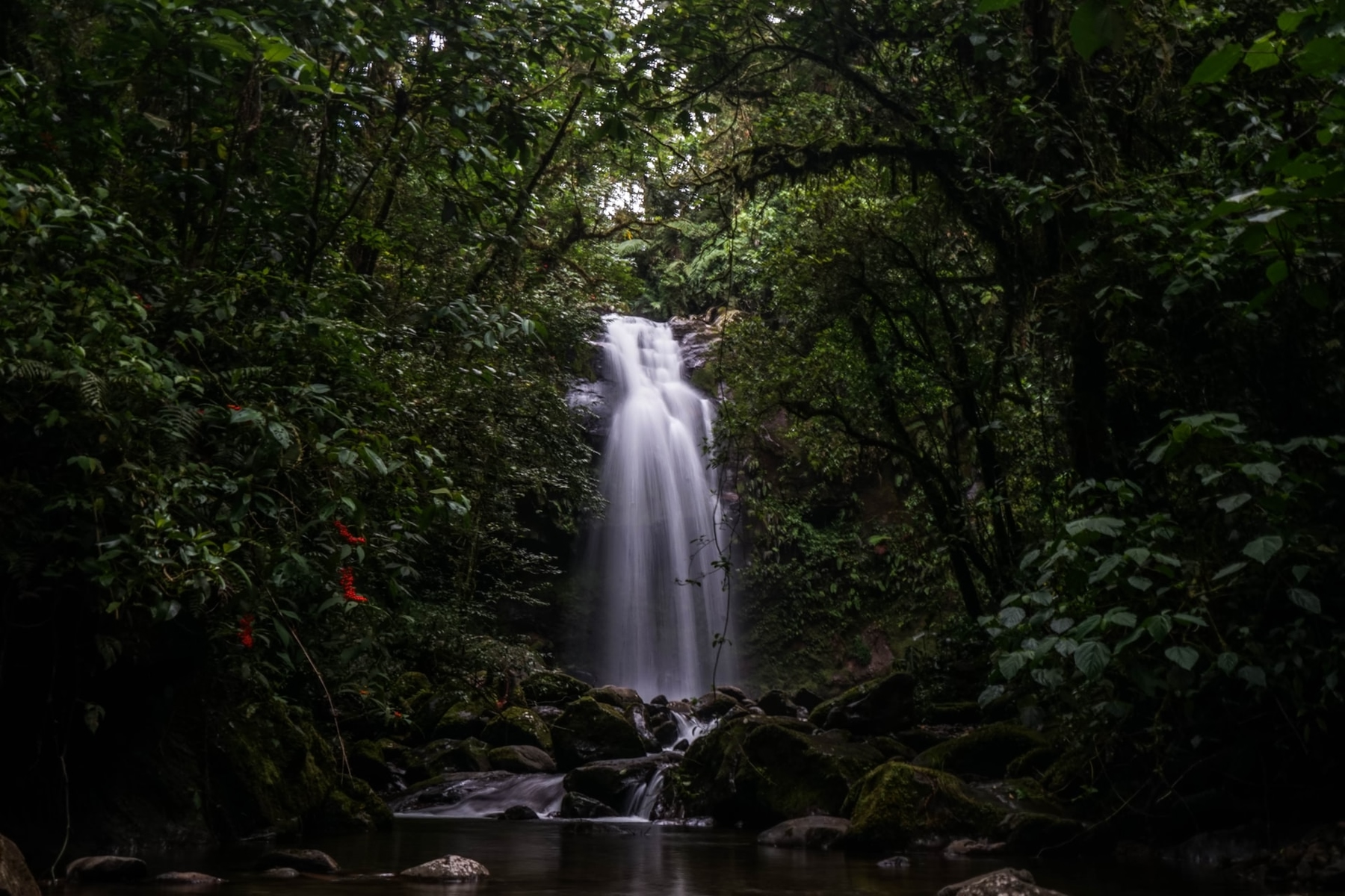 A secret waterfall in the middle of Panama's jungle.