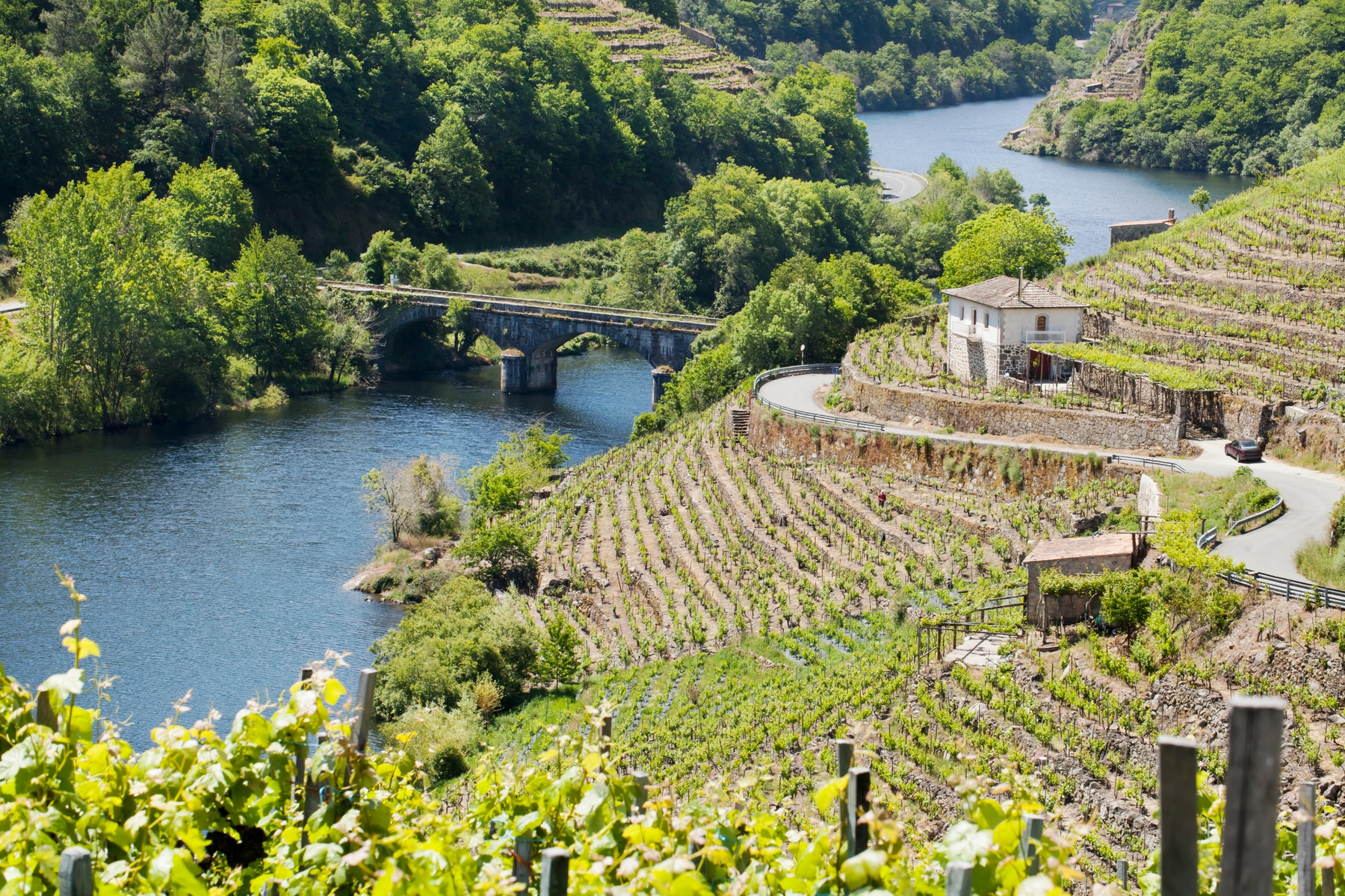 ribeira sacra galicia