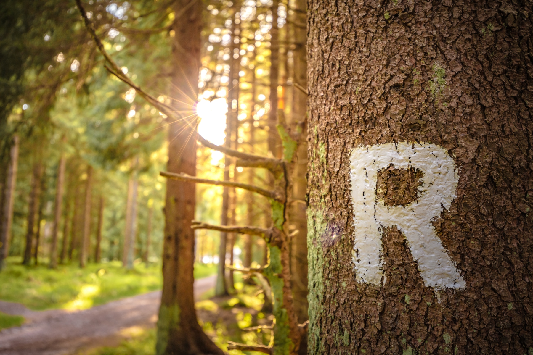 Urlaub im Thüringer Wald beim Wandern auf dem Rennsteig