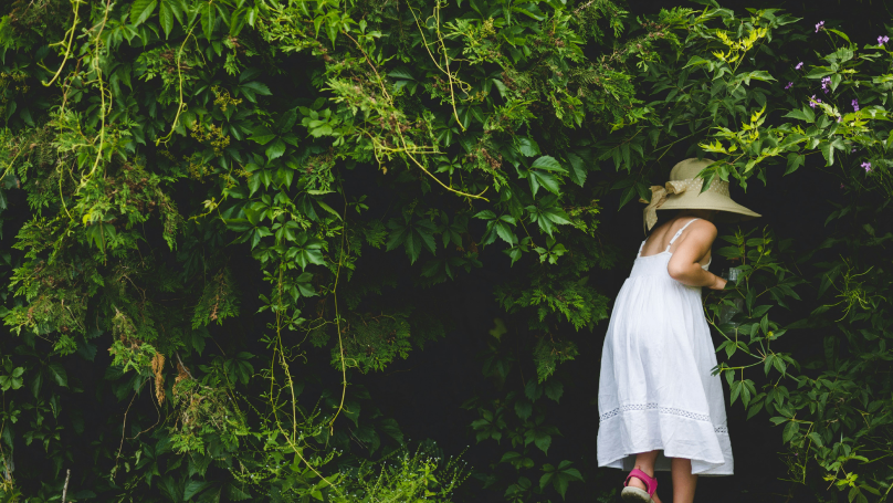 A view from behind of a young girl joyfully playing amidst lush greenery, wearing a charming sun hat and a flowing white dress