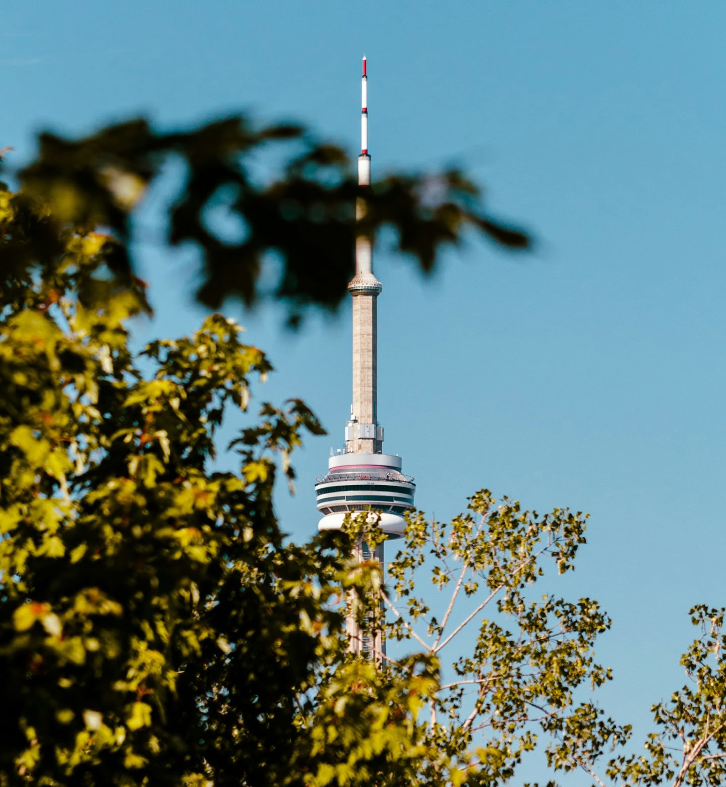 The CN tower in Toronto, Canada, is viewed behind green leafy trees against a blue cloudless sky