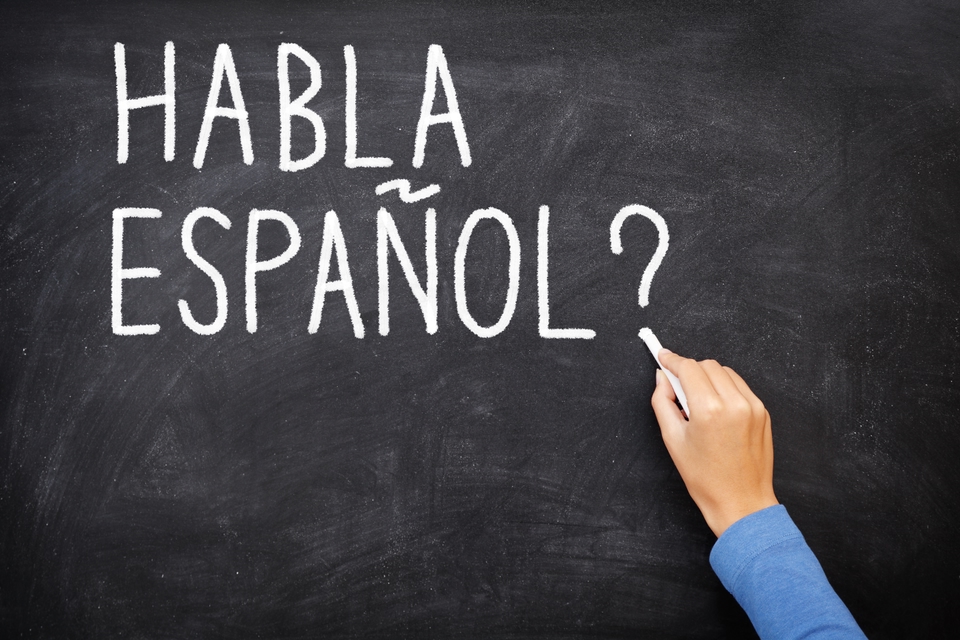 learn a new language