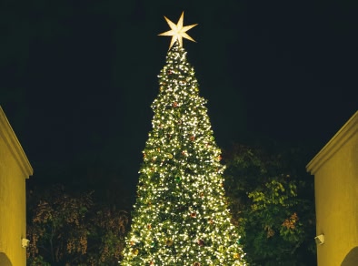 kerstboom