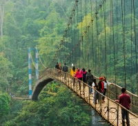 people walking on a bridge